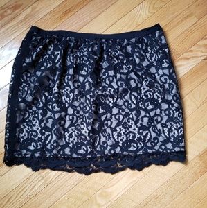Loft Ann Taylor Skirt NWOT
